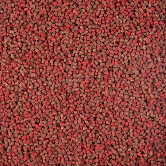 Pellet gotowy Mikado Method Feeder Ready To Go