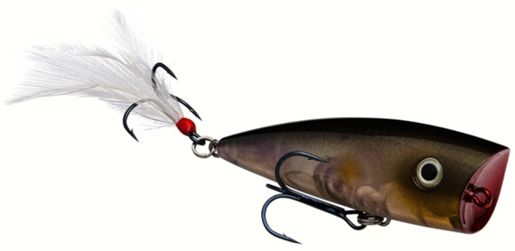Popper Strike King KVD Splash