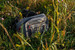 Nerka Mikado MFT Waistpack